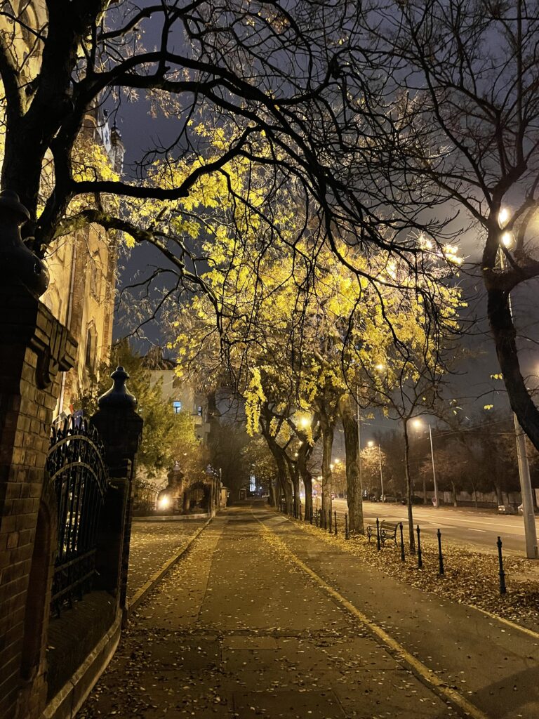 A Stefánia úton Budapesten a végrendelet készítő dr. Zatik Levente ügyvéd Thököly út 58-60. sz. alatti irodája felé.